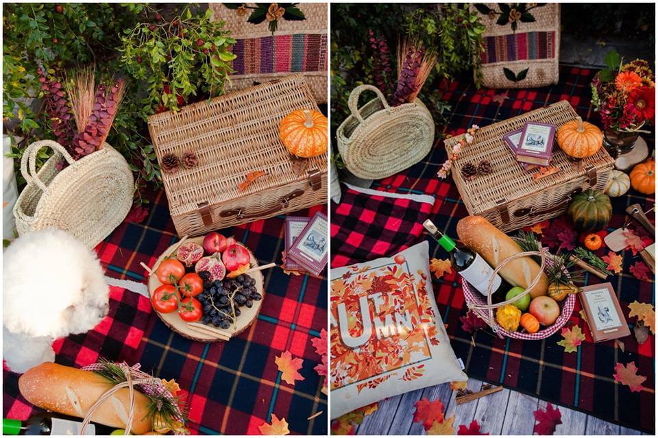 Planning The Perfect Fall Picnic Inara By May Pham