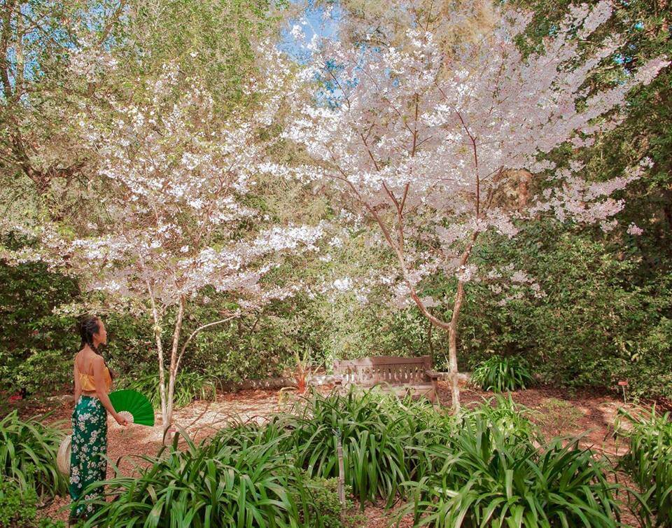 Descanso Gardens Free Day 2025