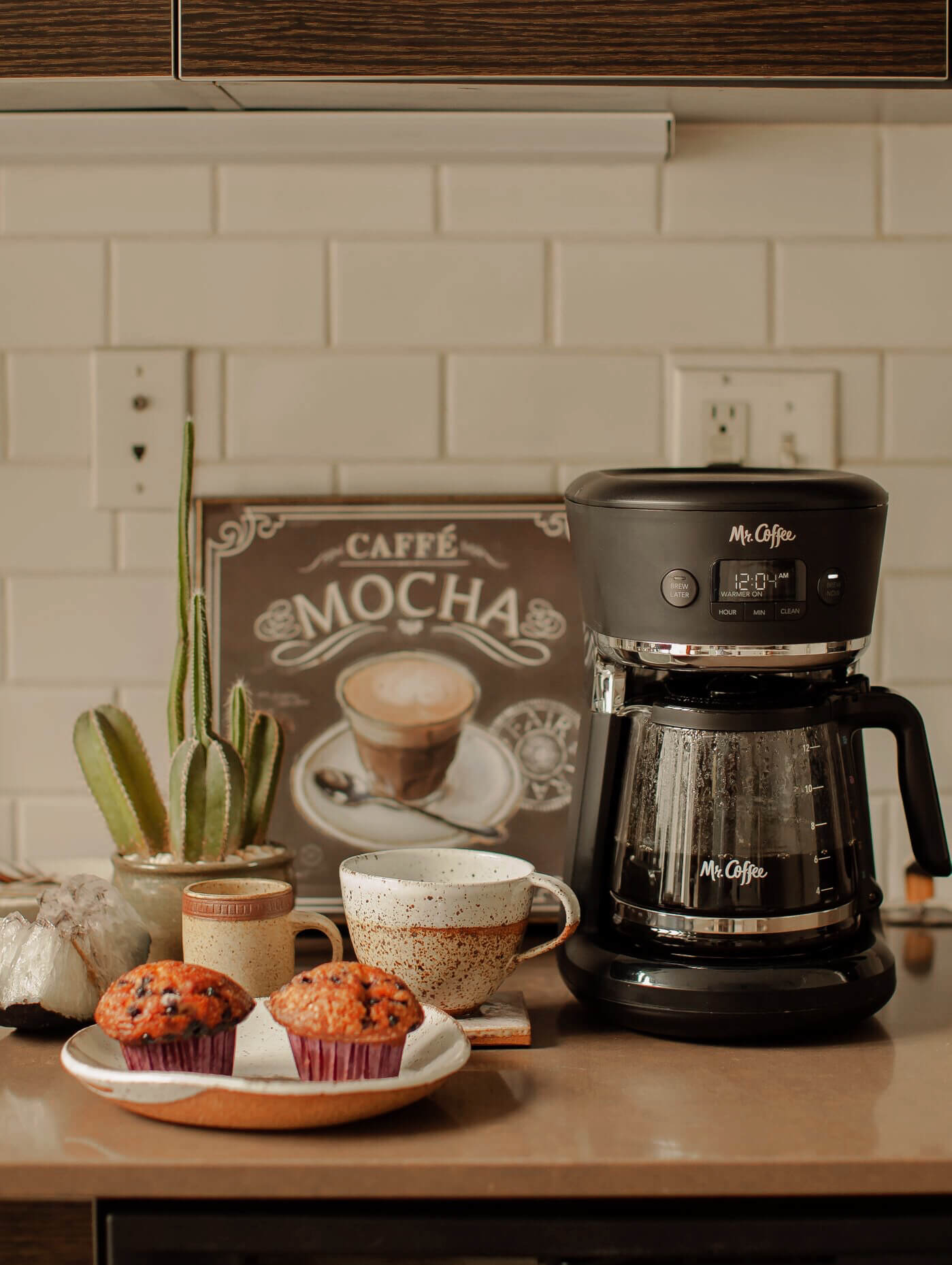 12-Cup Programmable Coffeemaker