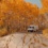Maximize your leaf peeping with hot spring soaking in the Eastern Sierra