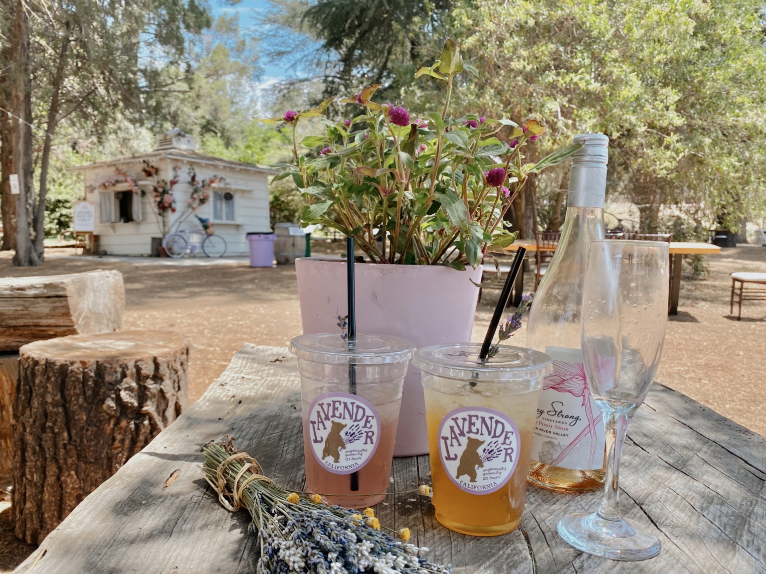 A GUIDE TO THE LAVENDER FESTIVAL BY 123 FARM inAra By May Pham