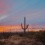 MOST INSTAGRAMMABLE SPOTS IN TUCSON