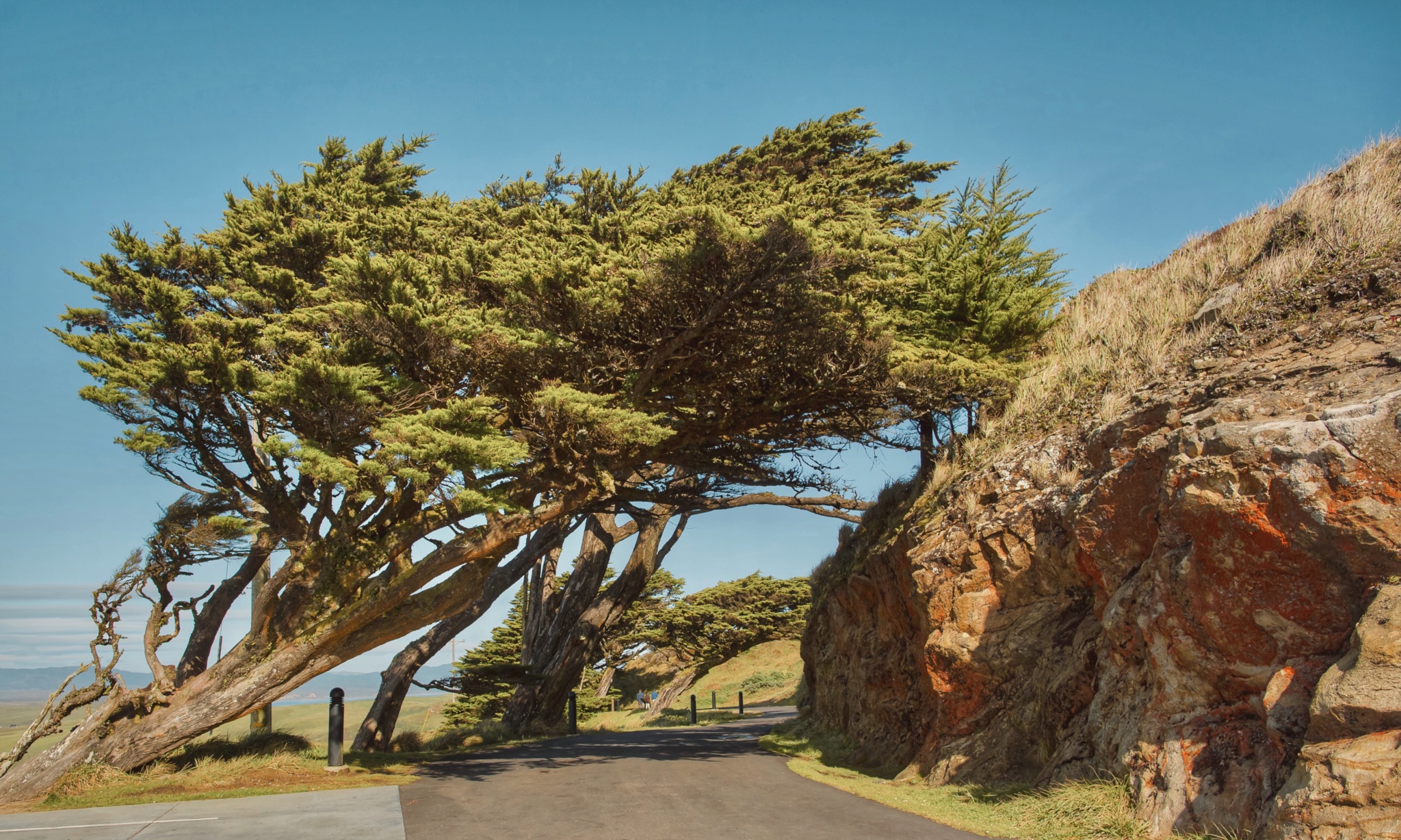 Your Complete Point Reyes Travel Guide - inAra By May Pham