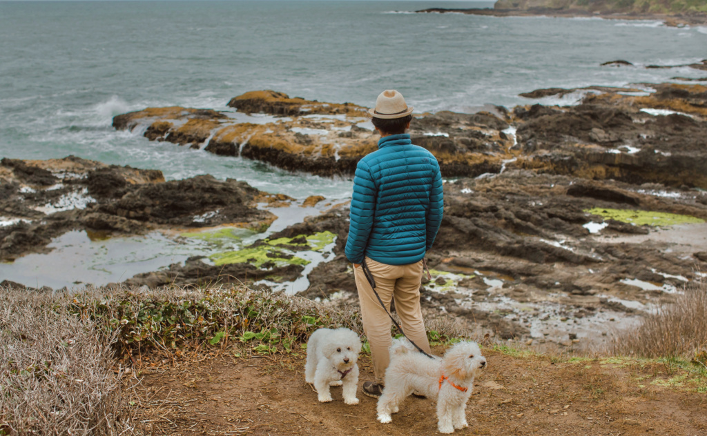 ultimate oregon coast road trip