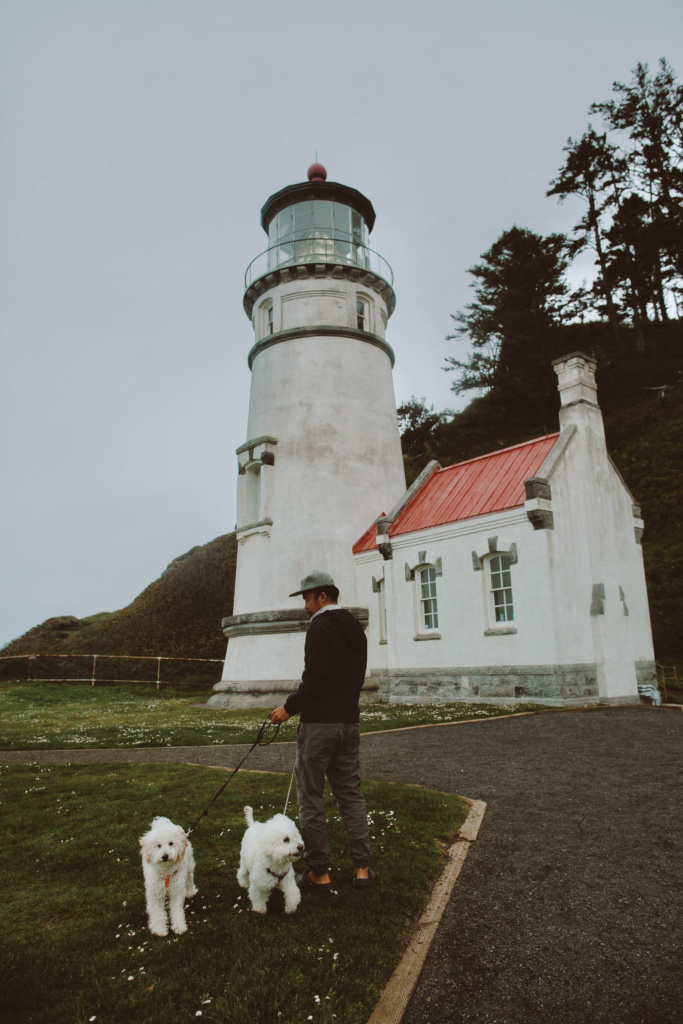 ultimate oregon coast road trip