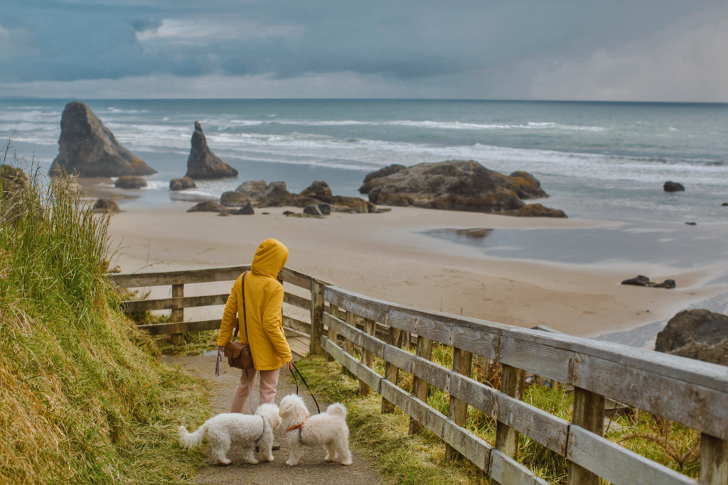 ultimate oregon coast road trip