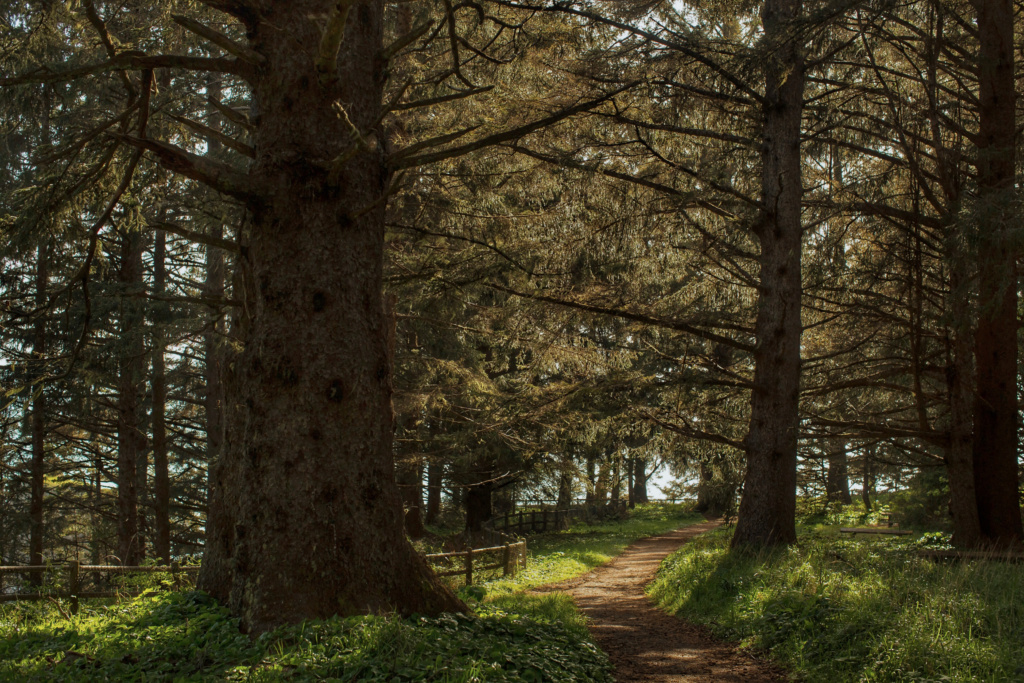 ultimate oregon coast road trip