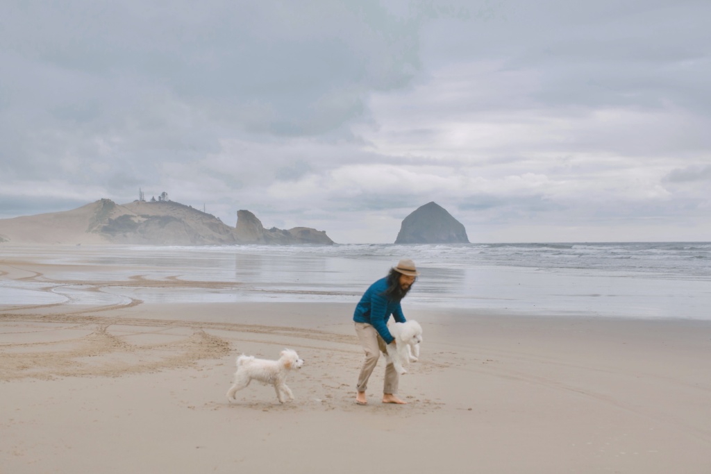 ultimate oregon coast road trip