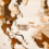 CAMPERVAN DECORATION IDEAS: WOODEN WORLD MAP AND NATIONAL PARK POSTERS